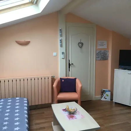 Apartment Barnetche Villefranque (Pyrenees-Atlantiques)